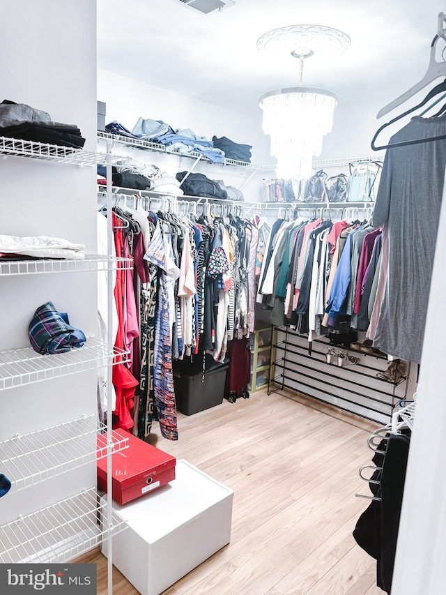 walk in closet featuring an inviting chandelier and wood finished floors