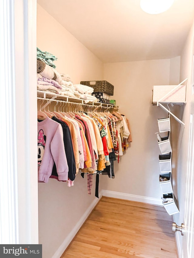 spacious closet featuring wood finished floors