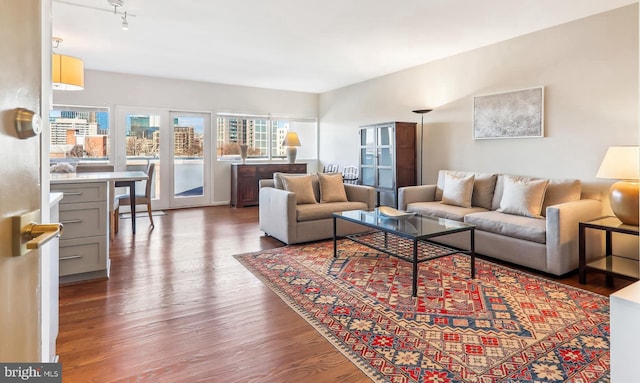 living room featuring dark wood-style flooring