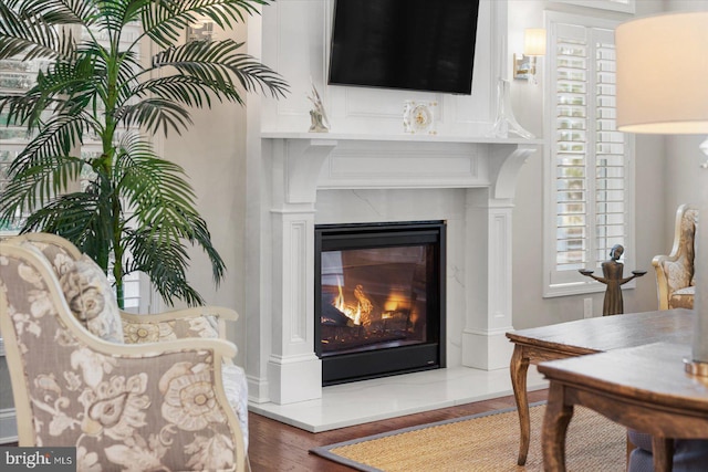 interior details with a glass covered fireplace and wood finished floors