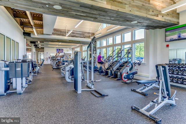 exercise room featuring a high ceiling