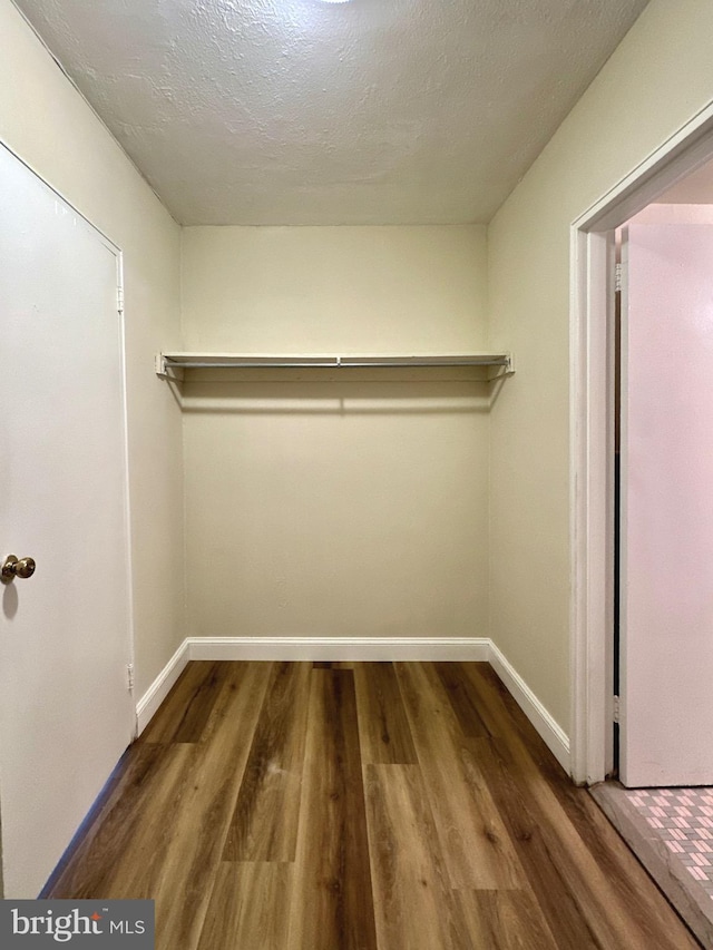 walk in closet featuring wood finished floors