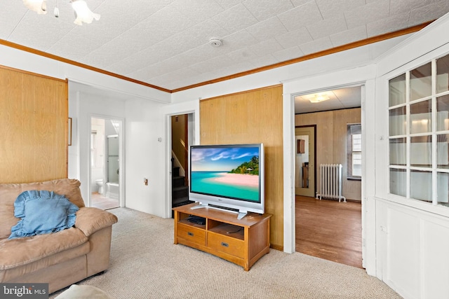 living room featuring crown molding, carpet flooring, and radiator