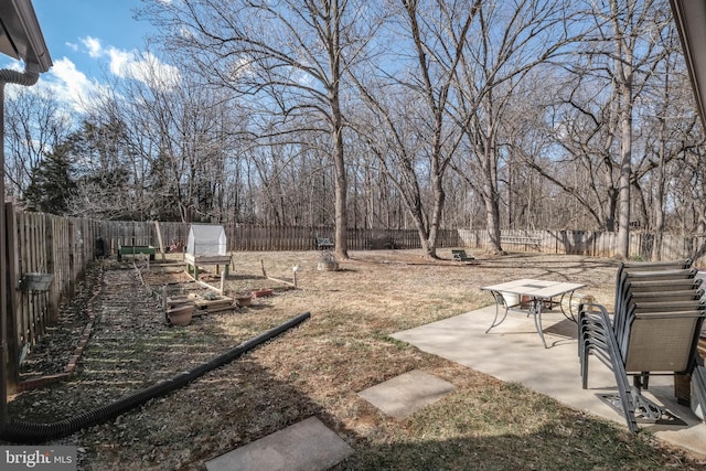 view of yard with a fenced backyard, a vegetable garden, and a patio