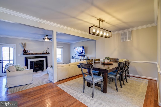 dining room with ceiling fan with notable chandelier, a fireplace with flush hearth, visible vents, wood-type flooring, and crown molding