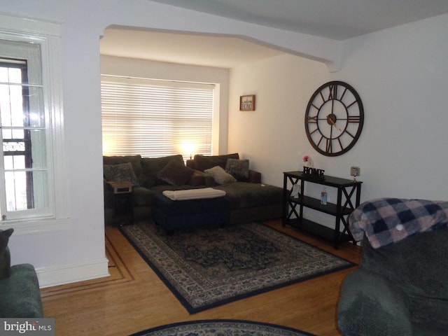 living room featuring wood finished floors