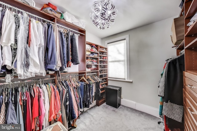 walk in closet featuring carpet floors and a chandelier