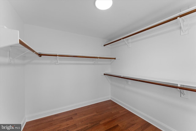 spacious closet with dark wood finished floors