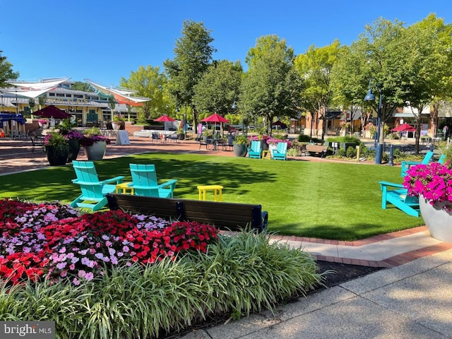 view of community featuring a lawn