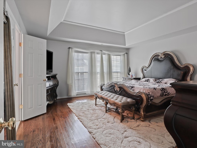 bedroom with a tray ceiling and dark wood finished floors