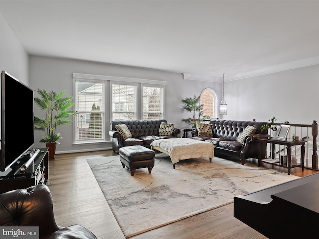 living area with ornamental molding and wood finished floors