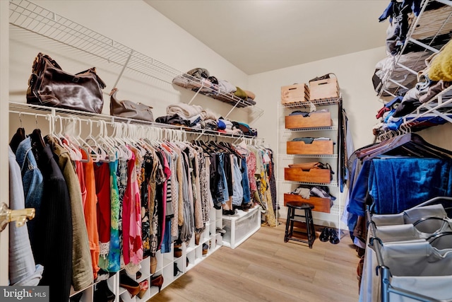 walk in closet featuring wood finished floors