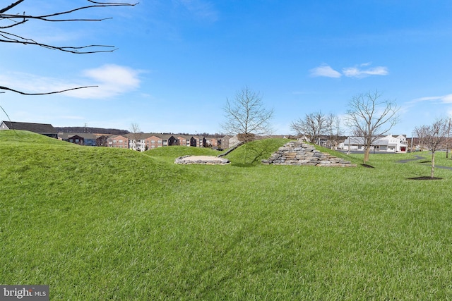 view of yard with a residential view