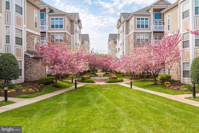 view of community featuring a yard