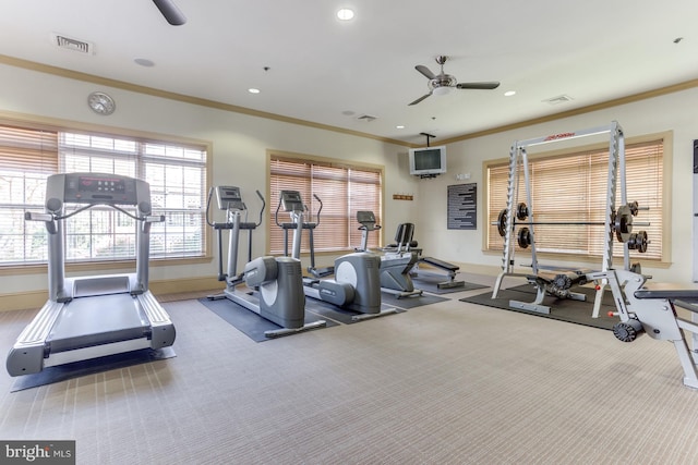 gym featuring ceiling fan, carpet floors, ornamental molding, and visible vents