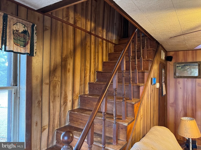 staircase with wood walls