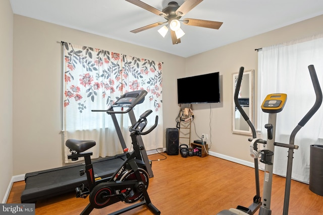 exercise room featuring a ceiling fan, baseboards, and wood finished floors