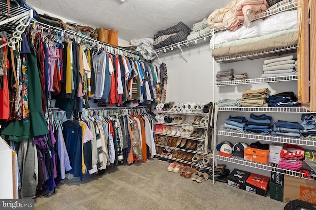 spacious closet featuring carpet