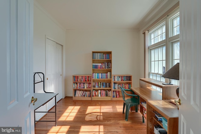 living area featuring ornamental molding and wood-type flooring