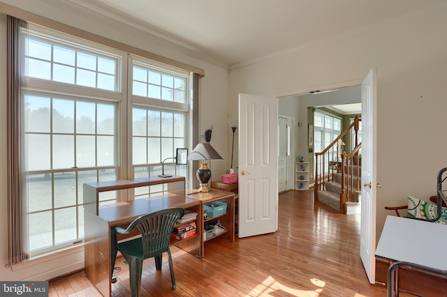 office area with light wood finished floors and crown molding