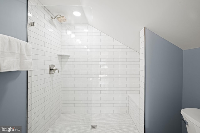 bathroom featuring vaulted ceiling, a shower stall, and toilet