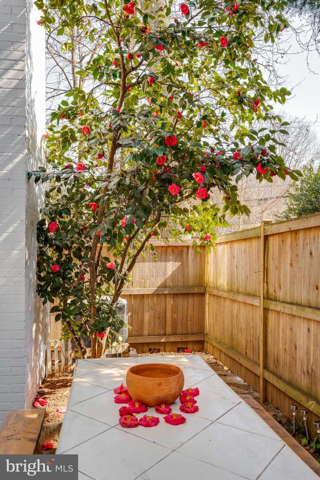 view of patio / terrace featuring a fenced backyard