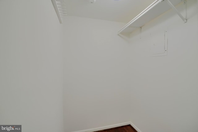 walk in closet featuring wood finished floors