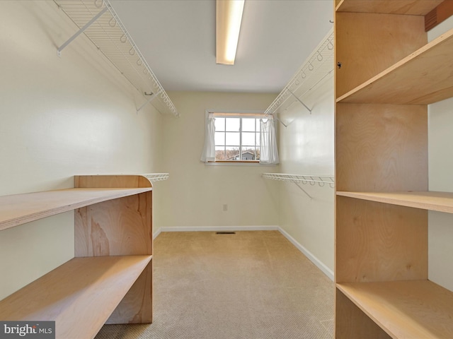 spacious closet with carpet