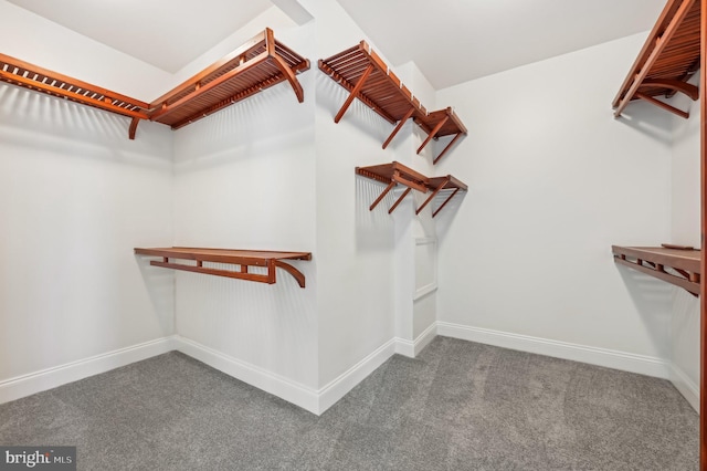 spacious closet with dark colored carpet