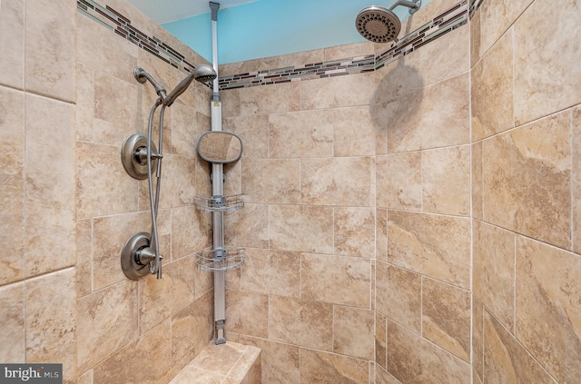 interior details with tiled shower