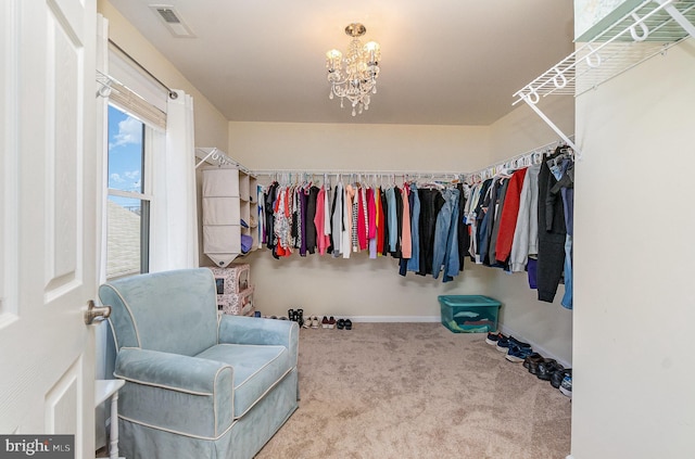 walk in closet featuring an inviting chandelier, visible vents, and carpet floors