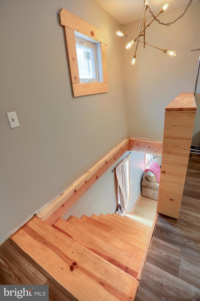 stairs featuring wood finished floors