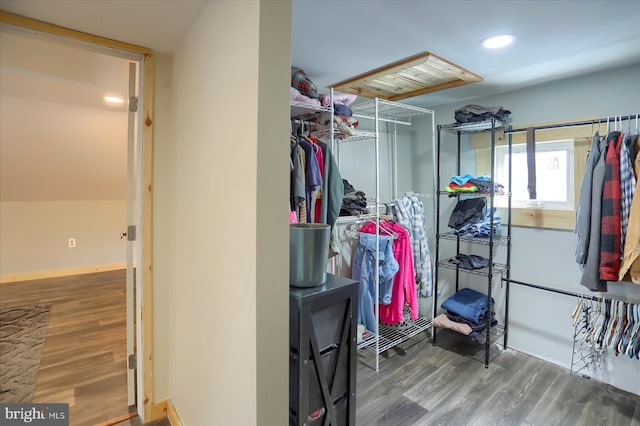 walk in closet featuring wood finished floors