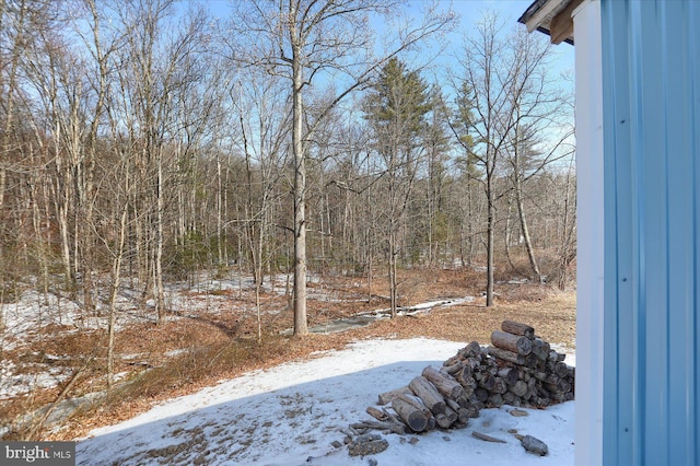 view of yard covered in snow