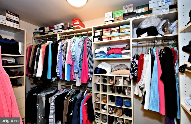 view of walk in closet