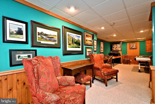 interior space featuring carpet floors, recessed lighting, a wainscoted wall, and wood walls