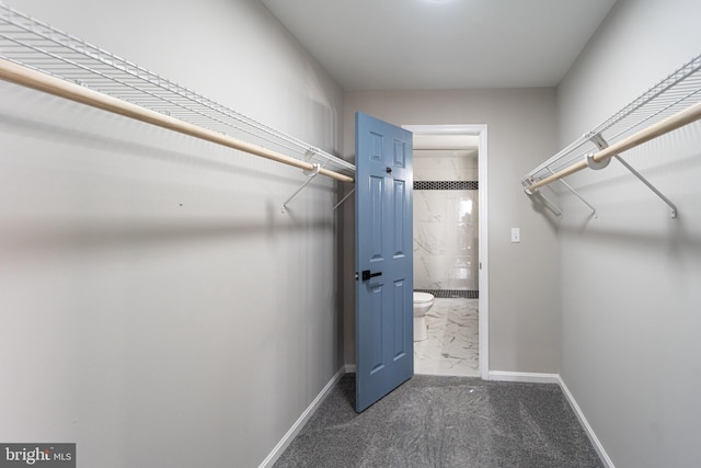 spacious closet with dark colored carpet