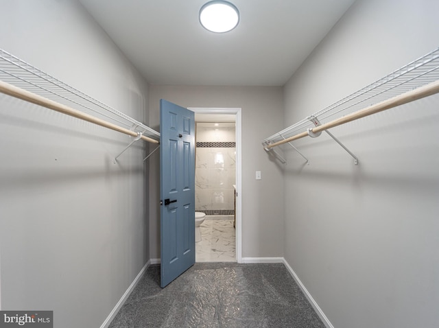 spacious closet with dark carpet