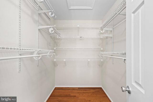 spacious closet featuring wood finished floors