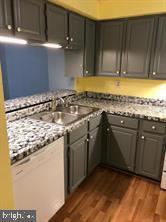 kitchen featuring dark wood-style floors, gray cabinets, and a sink