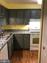 kitchen featuring dark wood-style floors, electric range, a sink, and under cabinet range hood