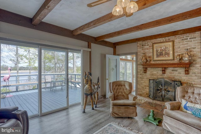 living room featuring beamed ceiling, wood finished floors, and plenty of natural light