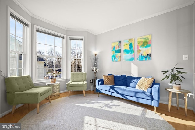 living area featuring crown molding, baseboards, and wood finished floors