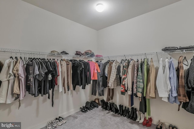 walk in closet with carpet