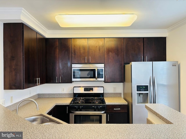 kitchen featuring stainless steel appliances, light countertops, ornamental molding, a sink, and dark brown cabinets