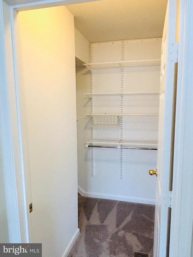 walk in closet featuring carpet flooring