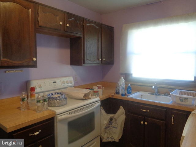 kitchen featuring light countertops, a sink, dark brown cabinets, and white electric range oven