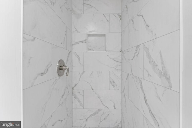 room details with tiled shower