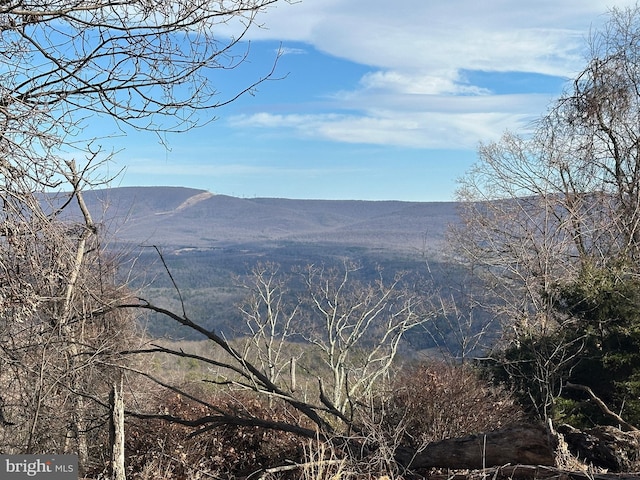 84 Peaks View Dr, Yellow Spring WV, 26865 land for sale