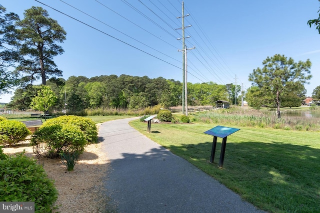 view of property's community with a yard